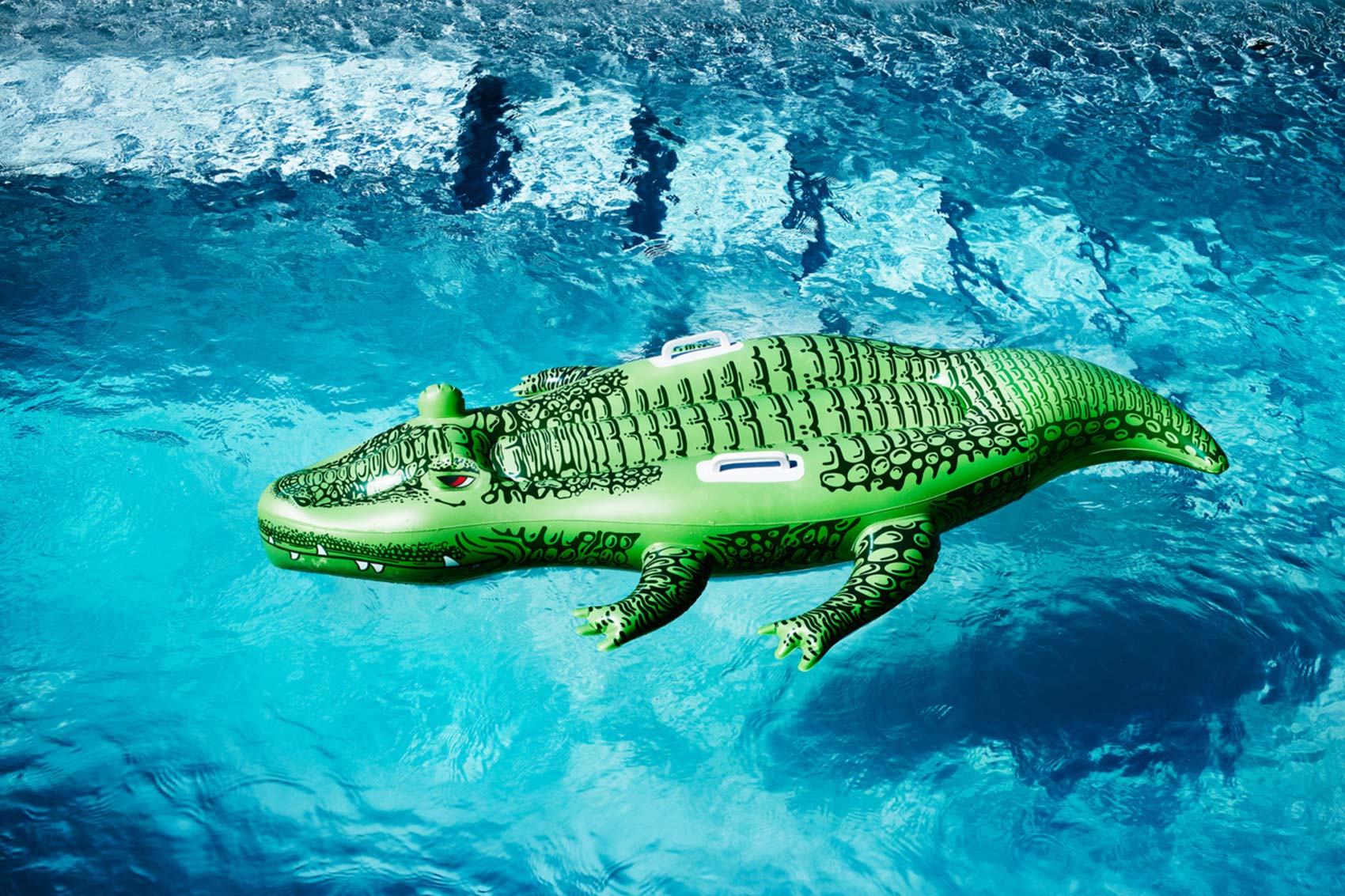 Bild von einem Plastik Krokodil im Pool
