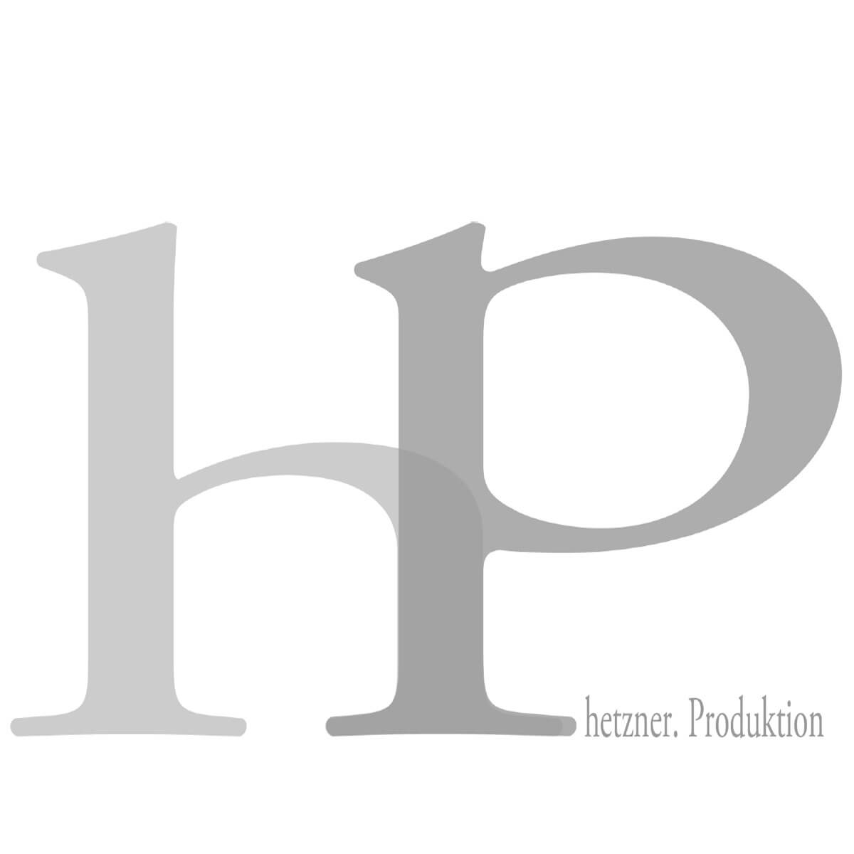 Hetzner.Produktion Logo